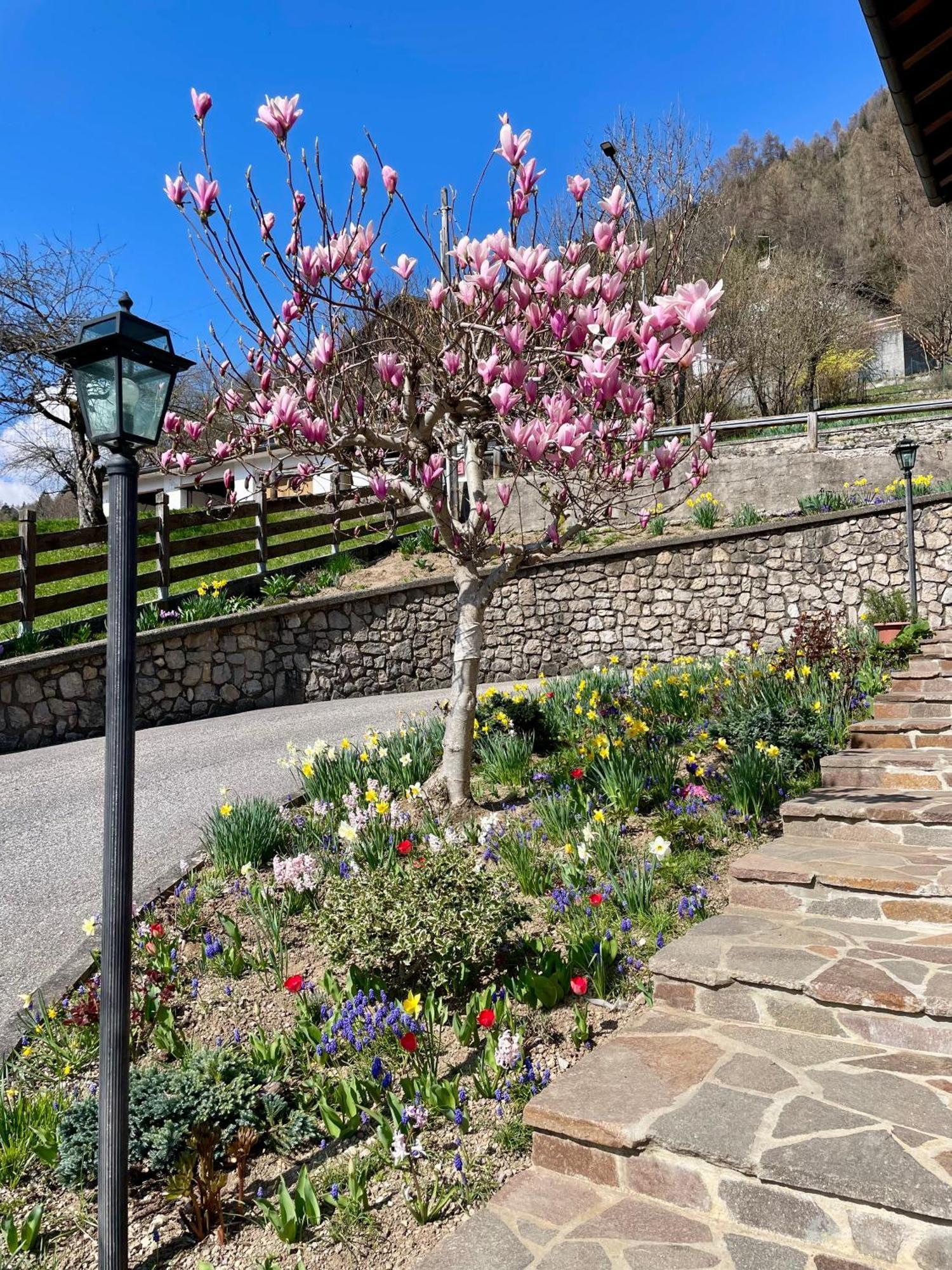 Ca Borghetto Hotel Venas Eksteriør billede